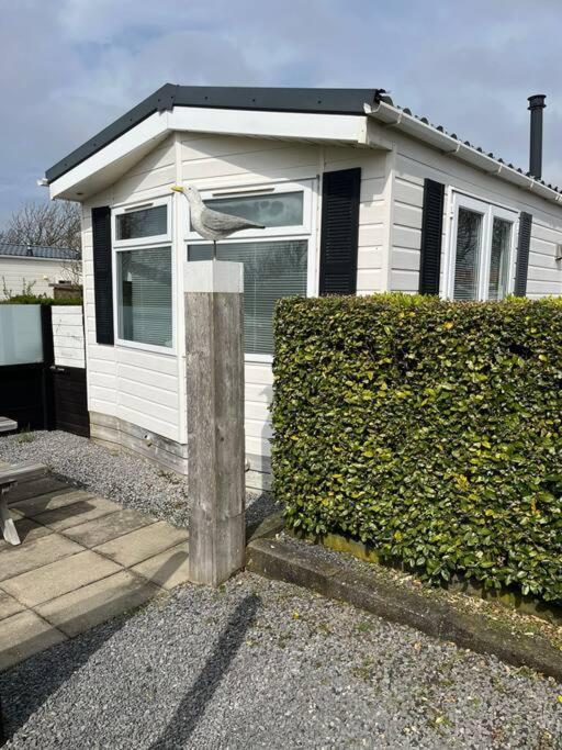 Chalet + Tiny House Nabij Strand بيتين المظهر الخارجي الصورة