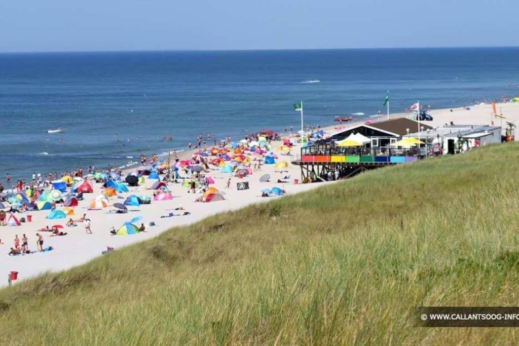 Chalet + Tiny House Nabij Strand بيتين المظهر الخارجي الصورة